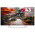 Телевизор 43" Shivaki US43H3501 (4K UHD 3840x2160, Smart TV) серебро
