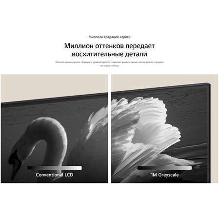 Телевизор 65" LG 65QNED91T6A.ARUG 2024 (4K UHD 3840x2160, Smart TV) черный (EAC)