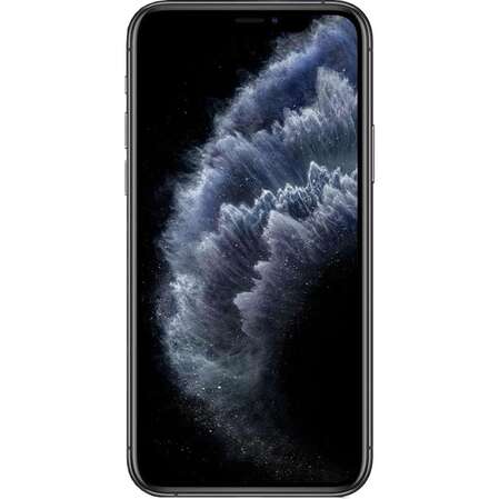 Смартфон Apple iPhone 11 Pro Max 256GB Space Grey (MWHJ2RU/A)