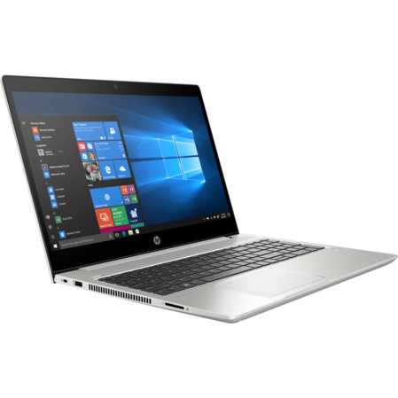 Ноутбук HP ProBook 450 G6 5PP98EA Core i5 8265U/8Gb/1Tb+256Gb SSD/NV MX130 2Gb/15.6" FullHD/Win10Pro Silver
