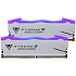 Модуль памяти DIMM 48Gb 2х24Gb DDR5 PC48000 6000MHz Patriot Memory Viper Xtreme 5 RGB Mpower White (PVXR548G60C30KM)