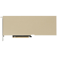 Видеокарта PNY NVIDIA Tesla L20 48GB (900-2G133-00A0-000)