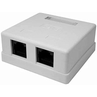 Розетка для витой пары RJ45 8P8C кат.6 двойная 