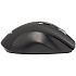 Мышь беспроводная Acer OMR140 Black Wireless