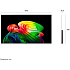 Телевизор 48" LG OLED48B6RLA.ARUG 2026