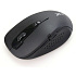 Мышь A4Tech R4 Black USB