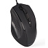 Мышь A4Tech V-Track Padless N-810FX Black