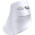 Мышь беспроводная Ugreen MU008 (25759) White Wireless