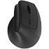 Мышь беспроводная Ugreen M571 (55916) Black Wireless