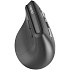 Мышь беспроводная Rapoo EV310M Wireless Black