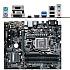 Материнская плата ASUS Prime B250M-A B250 Socket-1151 4xDDR4, 6xSATA3, 2xM.2, 1xPCI-E16x, 2xUSB3.0, 1xUSB3.1 Type C, D-Sub, DVI-D, HDMI, Glan, mATX