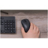 Мышь беспроводная Xiaomi Wireless Mouse Lite 2 Black