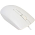 Мышь Dell MS116 White