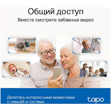 IP-камера Беспроводная IP камера TP-LINK TAPO C220