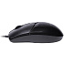Мышь Oklick 145M Black PS/2
