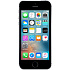 Смартфон Apple iPhone SE 16GB Space Gray (MLLN2RU/A)