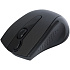 Мышь беспроводная A4Tech G9-500F-1 Black Wireless