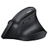 Мышь беспроводная Ugreen M571P (65042) Black Wireless