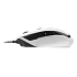 Мышь Sharkoon Shark Force White проводная