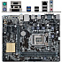 Материнская плата ASUS H110M-K H110 Socket-1151 2xDDR4, 4xSATA3, 1xPCI-E16x, 4xUSB3.0, D-Sub, DVI, COM, Glan, mATX