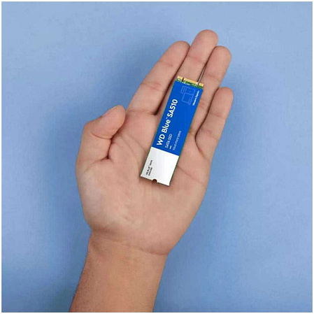 Внутренний SSD-накопитель 1000Gb Western Digital Blue (WDS100T3B0B) M.2 2280 SATA3