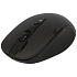 Мышь A4Tech G10-660FL Black Wireless