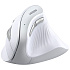 Мышь беспроводная Ugreen MU008 (25759) White Wireless