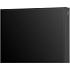 Телевизор 55" Hisense 55U8Q 2025