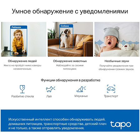 IP-камера Беспроводная IP камера TP-LINK TAPO C220