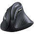Мышь беспроводная Ugreen MU008 (25444) Black Wireless