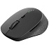 Мышь беспроводная Rapoo M300 Silent Wireless Black