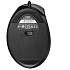 Мышь Rapoo EV200 Black