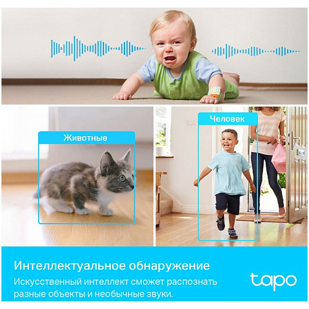 IP-камера Беспроводная IP камера TP-LINK TAPO C225