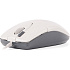 Мышь A4Tech OP-620D White