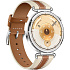 Умные часы Huawei Watch GT 6 Brown Composite