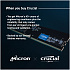 Модуль памяти DIMM 32Gb DDR5 PC44800 5600MHz Crucial (CT32G56C46U5)
