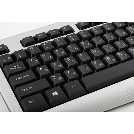 Клавиатура Genius KB-110X Silver PS/2