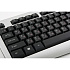 Клавиатура Genius KB-110X Silver PS/2