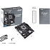 Материнская плата ASUS Prime H610M-K H610 Socket-1700 2xDDR5, 4xSATA3, 1xM.2, 1xPCI-E16x, 2xUSB3.2, D-Sub, HDMI, Glan, mATX