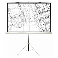 Cactus 127x127см Triscreen, 1:1, рулонный