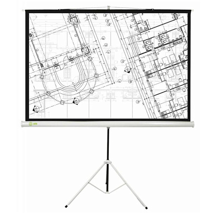 Cactus 127x127см Triscreen, 1:1, рулонный
