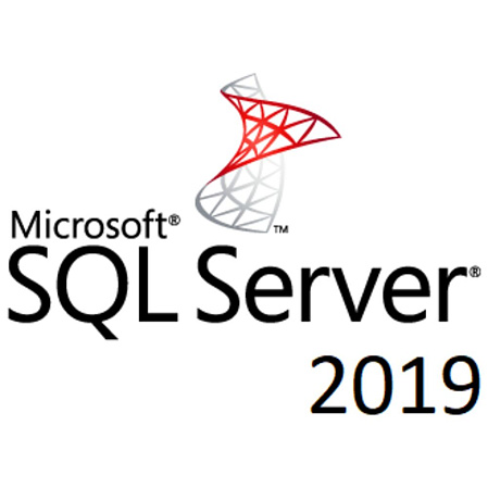 Microsoft Windows SQL Svr Std 2019 English 64bit DVD 10 Clt (228-11548)