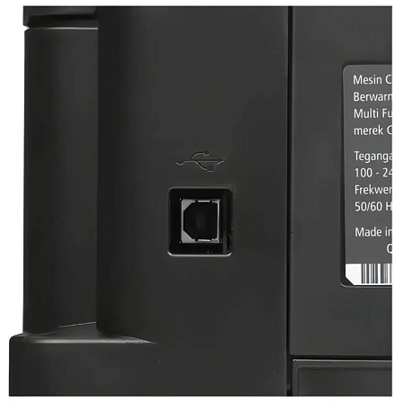 МФУ Canon Pixma G2010 цветное А4