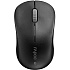 Мышь Rapoo 6010B Black беспроводная