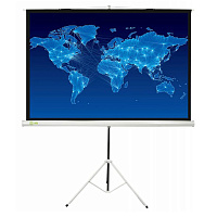 Cactus 150x150см Triscreen, 1:1, рулонный