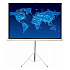 Cactus 150x150см Triscreen, 1:1, рулонный