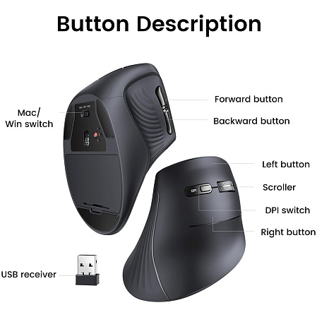 Мышь беспроводная Ugreen MU008 (25444) Black Wireless
