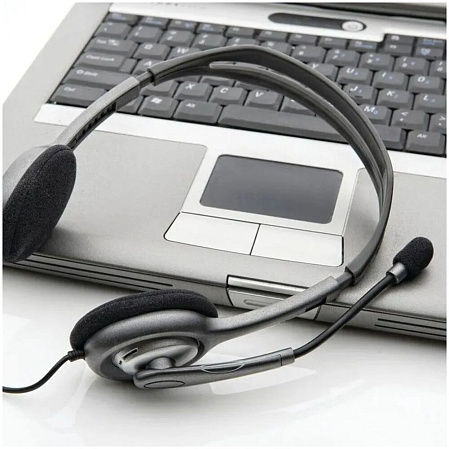 Гарнитура Logitech H111 Headset