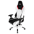 Кресло для геймера AKRacing ARCTICA бело-черное