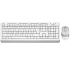 Клавиатура+мышь A4Tech Fstyler F1010 White/Grey
